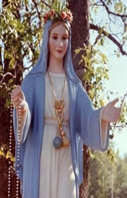 Our Lady of the Holy Rosary - Mary Ann Van Hoof, Necedah, Wisconsin